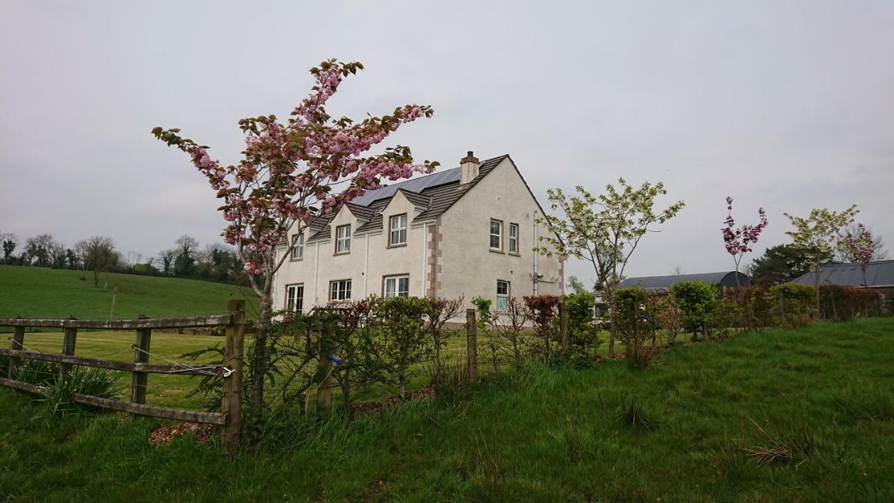 Laraghson House Pensionat Enniskillen Exteriör bild